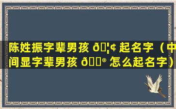 陈姓振字辈男孩 🦢 起名字（中间显字辈男孩 💮 怎么起名字）